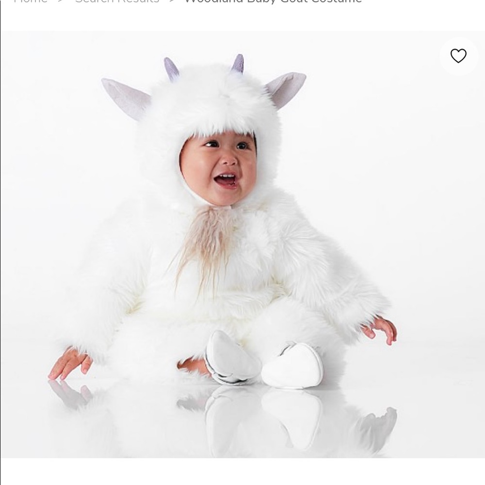 Pottery Barn Woodland Goat Halloween costume